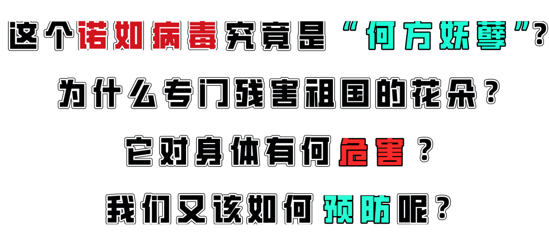 哈尔滨16名学生病毒感染！家有学生的要注意了，诺如病毒来袭
