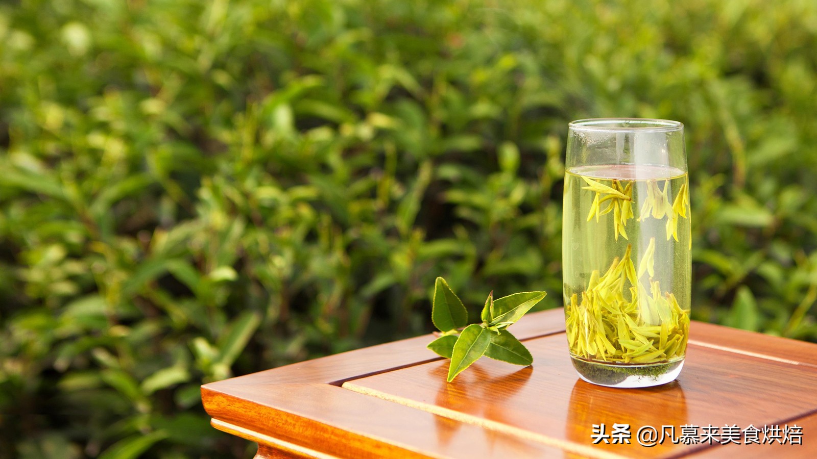 什么茶最好？茶叶品种？中国最好喝的30种名茶，如何选购茶叶