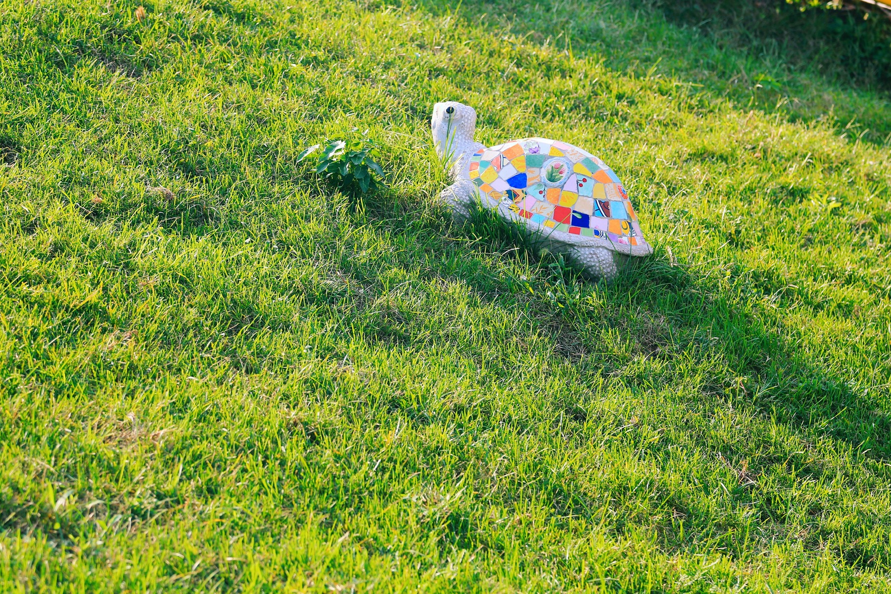 京郊密云小众亲子游，回归田园拥抱自然的超嗨假期