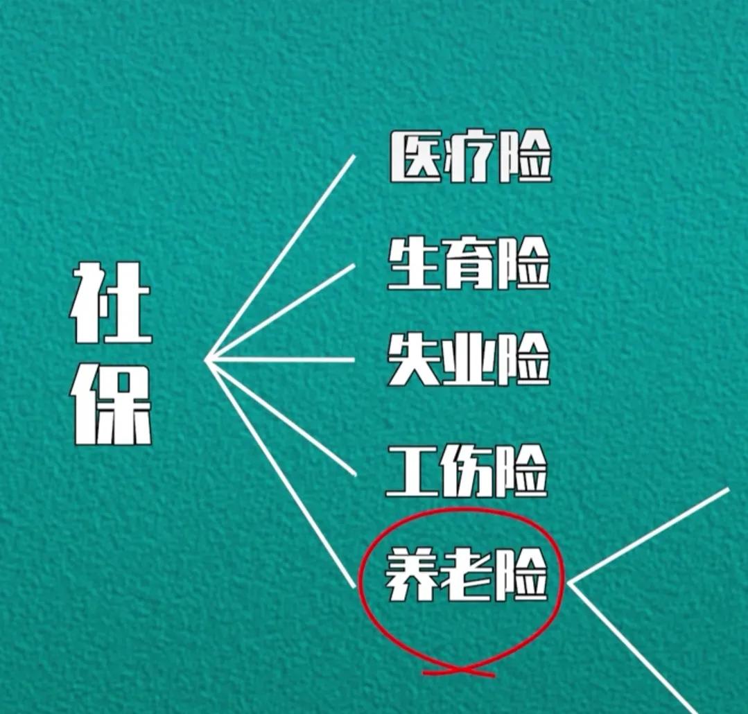 “五险一金”如何使用 第7张