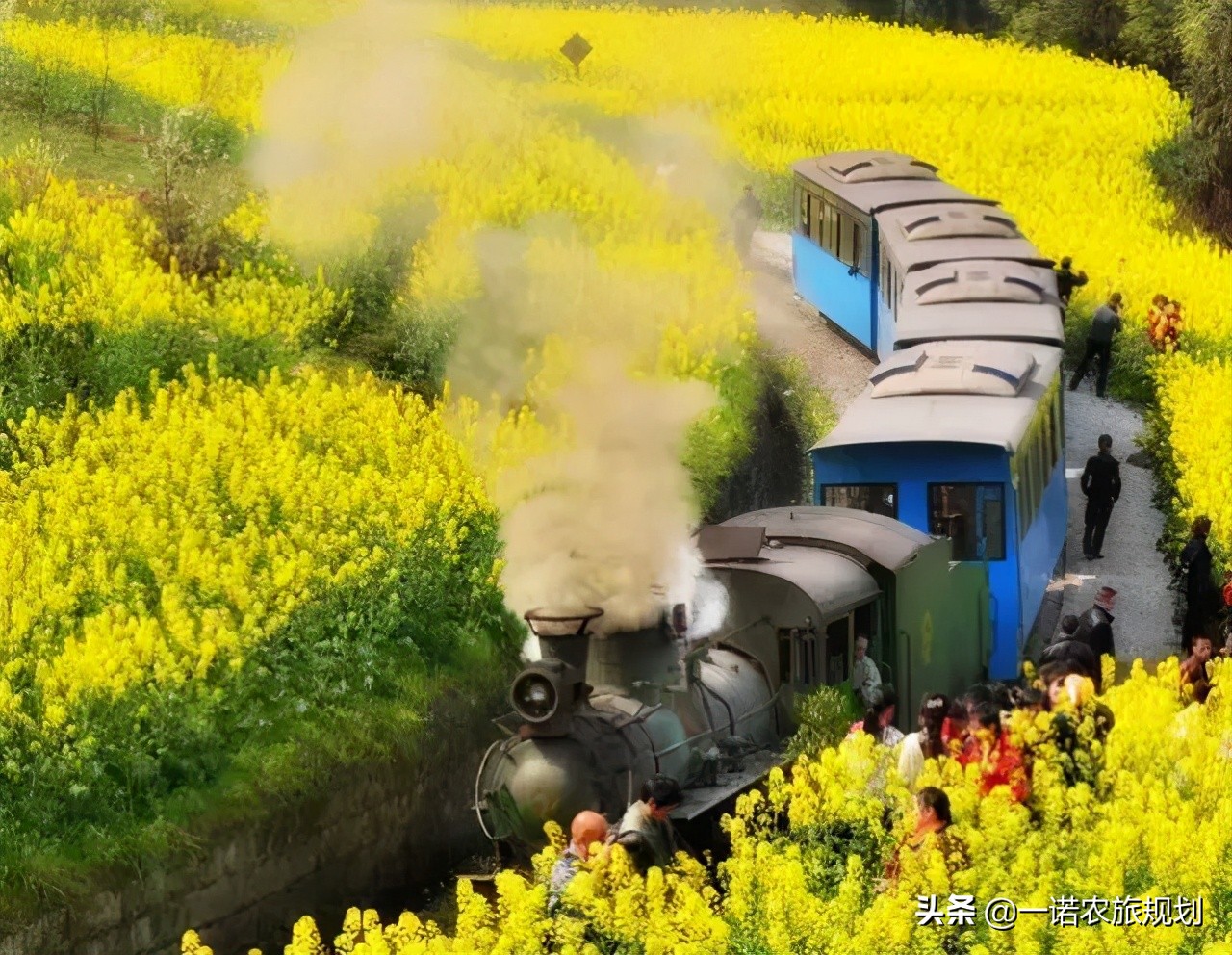 田园综合体中生产性景观的创意玩法