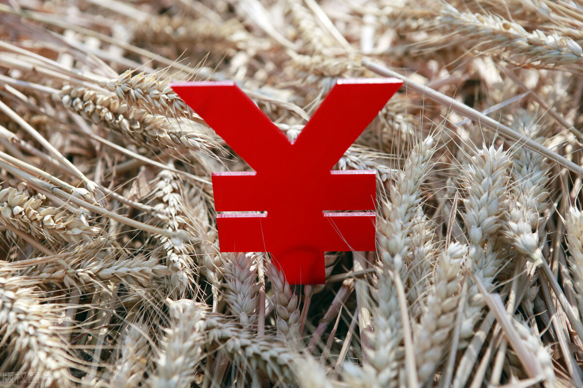 粮价最严调控15日正式实施，玉米全面飘红，粮价将迎大涨？