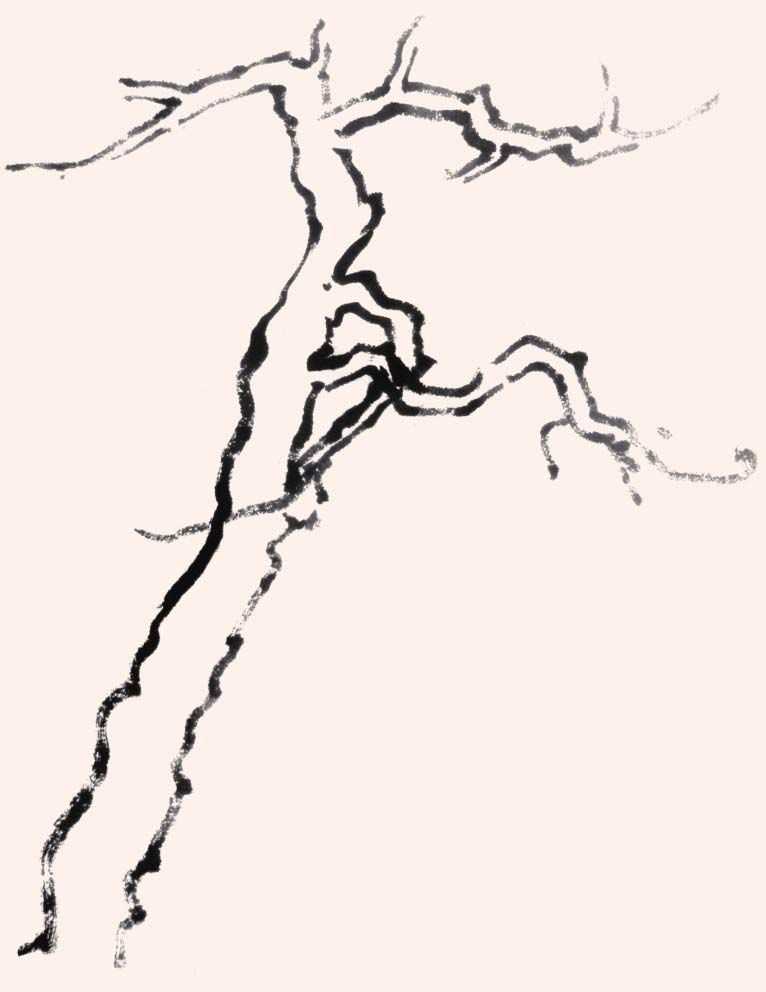 零基础国画教程:分步骤图解教你画3种常见树画法,简单易学