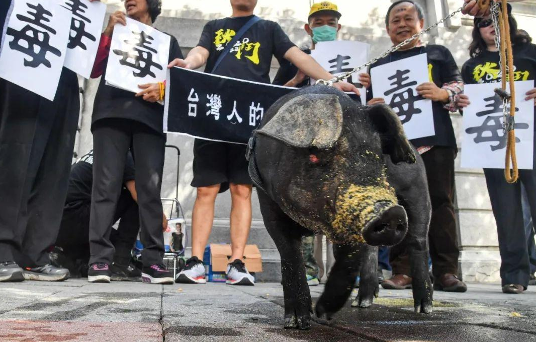 �親美�過頭！ 捍衛台灣民眾利益，卻遭綠營攻擊，這才是�賣台�