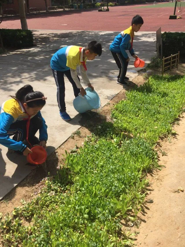 奎文区金宝实验小学：办适合孩子发展的教育(图8)