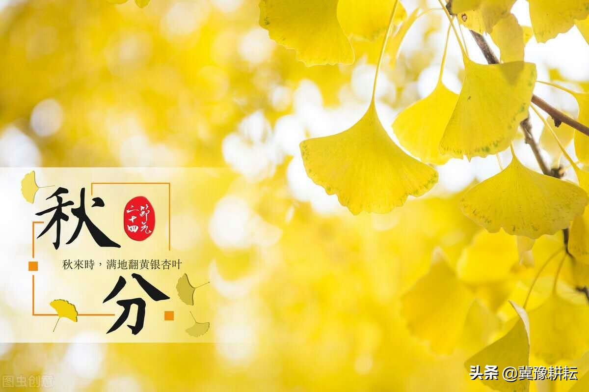 「秋分」100年难遇的秋分来了！秋分啥意思？秋分天气如何？