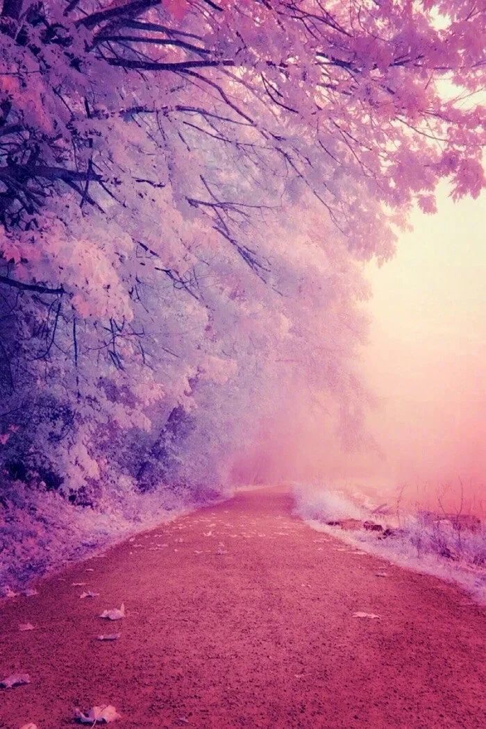 说说|很棒的朋友圈晚安说说句子,温柔阳光句句获赞