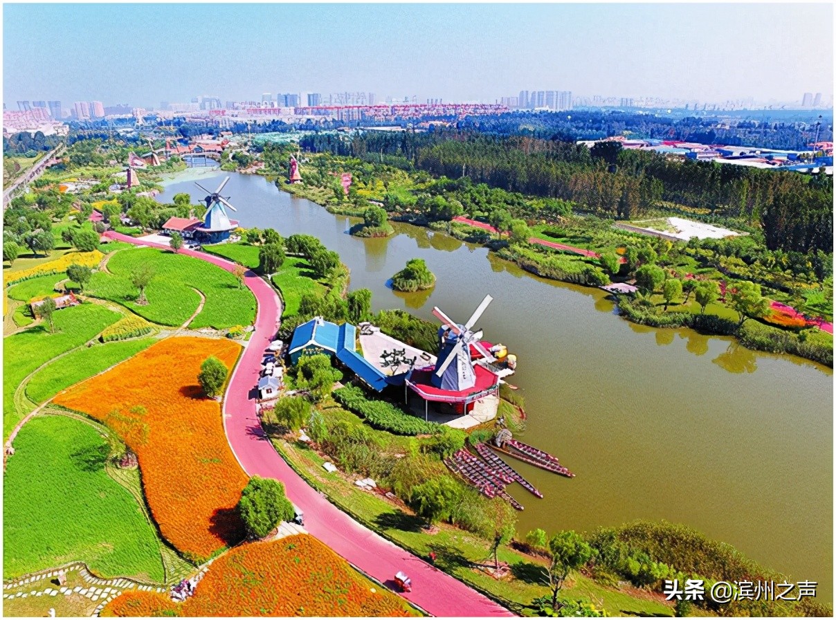 森林公园,生态湿地……滨州聚力打造黄河下游绿色生态走廊 叫响黄河