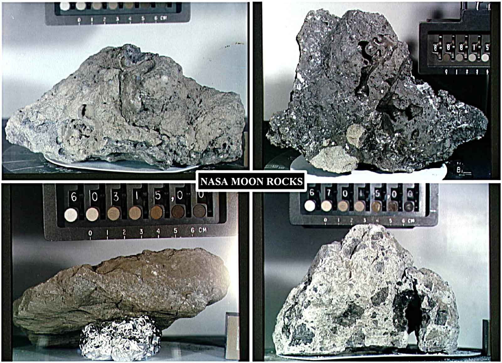 美国赠送的月岩被证实是假货，荷兰网友：这国