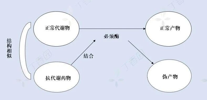 抗代谢类抗**药有哪些，你知道吗？
