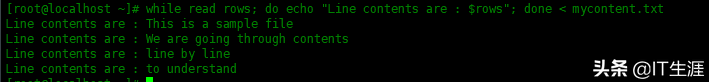 如何在Shell脚本中逐行读取文件