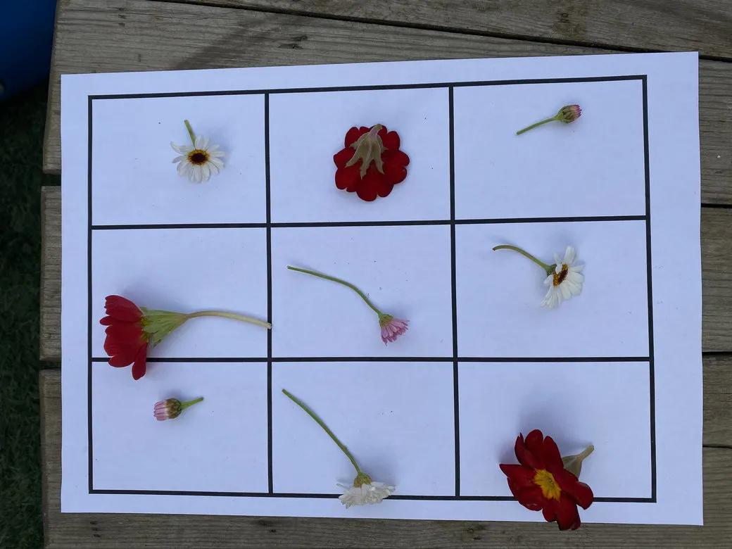 巧用天然材料，感受自然之美丨天府新区华阳幼儿园开展户外活动