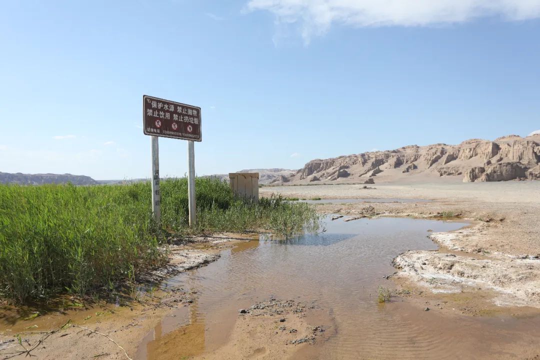 Self-driving Xinjiang Dahaidao No Man’s Land, deep into Yadan Desert, a rare wonder