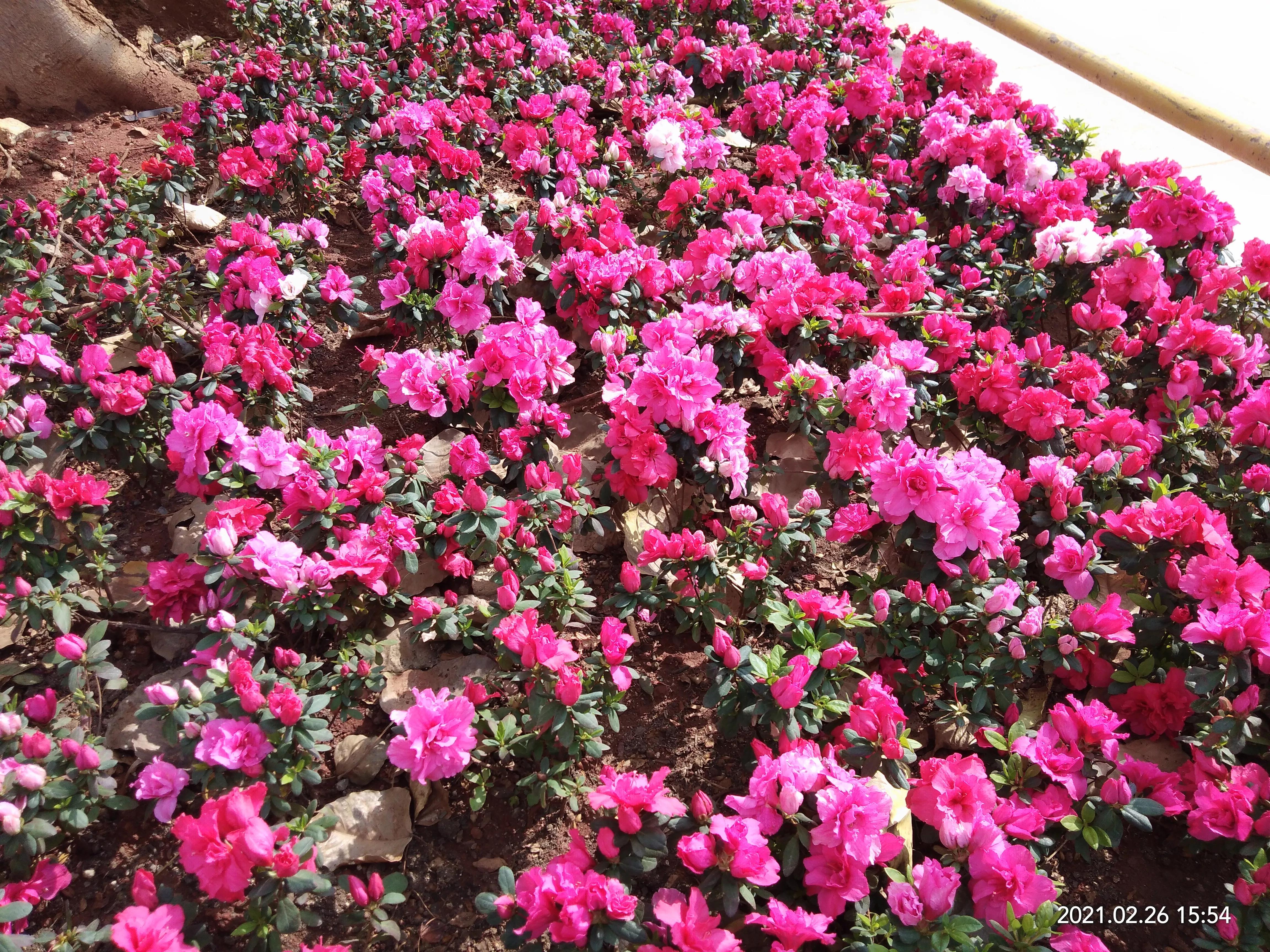 怎样看待自媒体