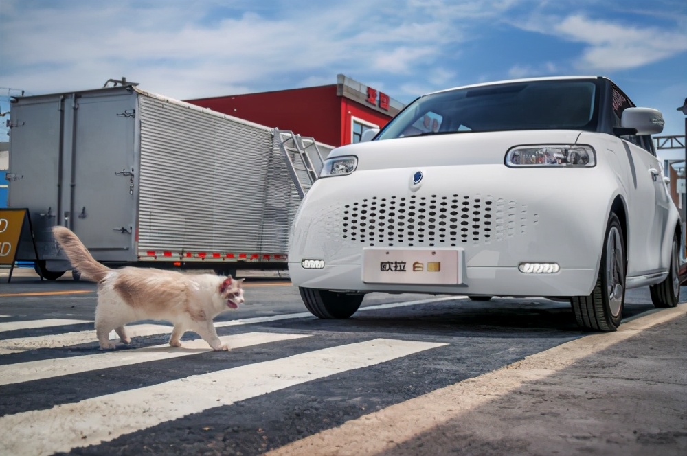 欧拉白猫VS宏光MINI EV 谁是纯电动微型车性价比之王？