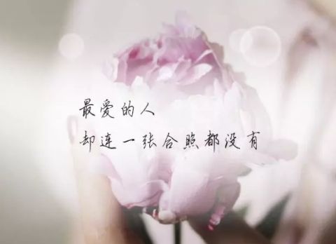 一个人撑得很累的说说 承受的太多终究叫人崩溃图片