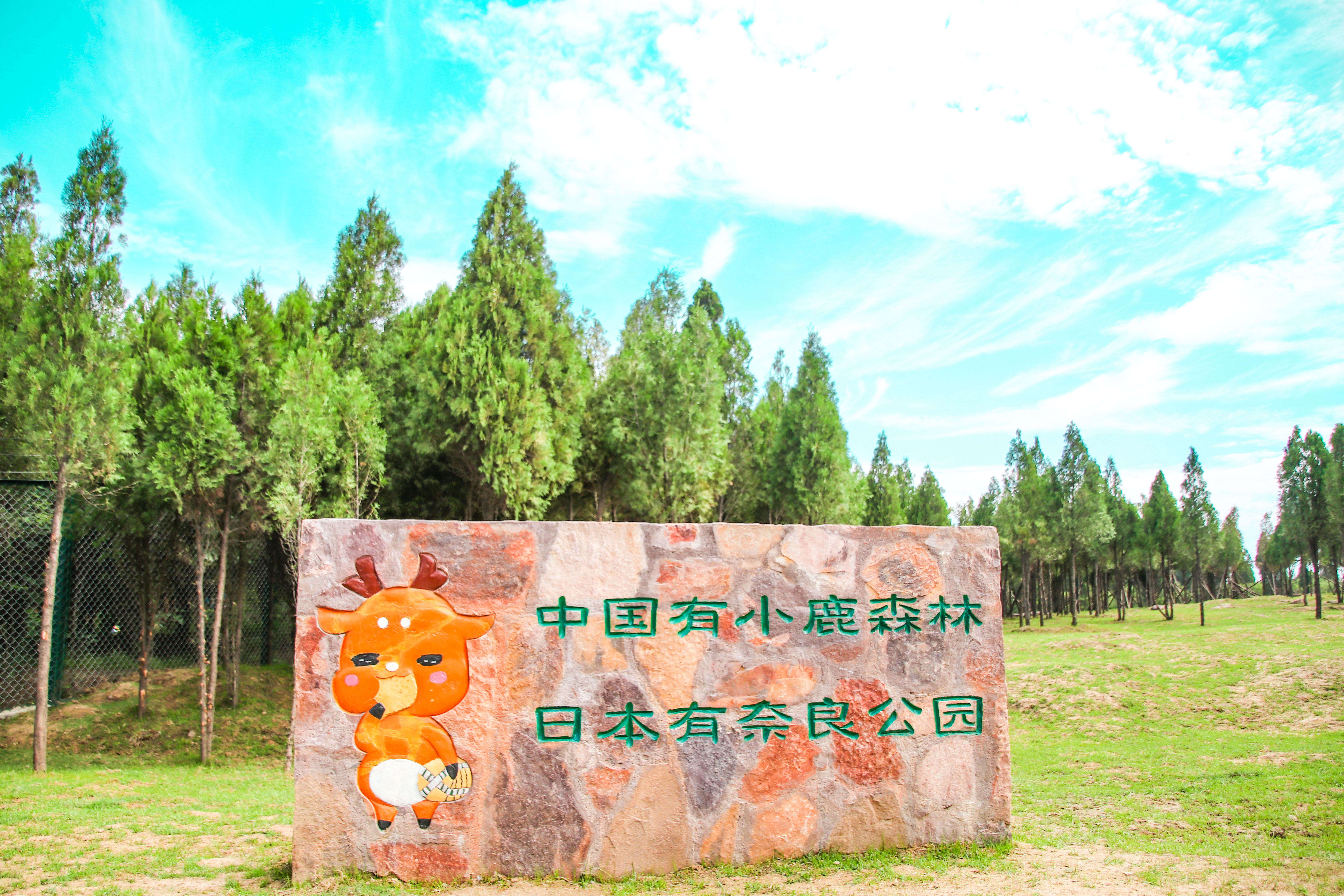 郑州隐藏着一个童话世界 可以喂鹿rua兔拍美照 奇幻又治愈
