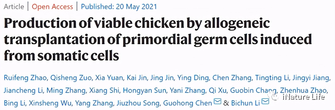 Nature子刊 | 扬州大学李碧春等证明了从体细胞克隆禽类的可行性