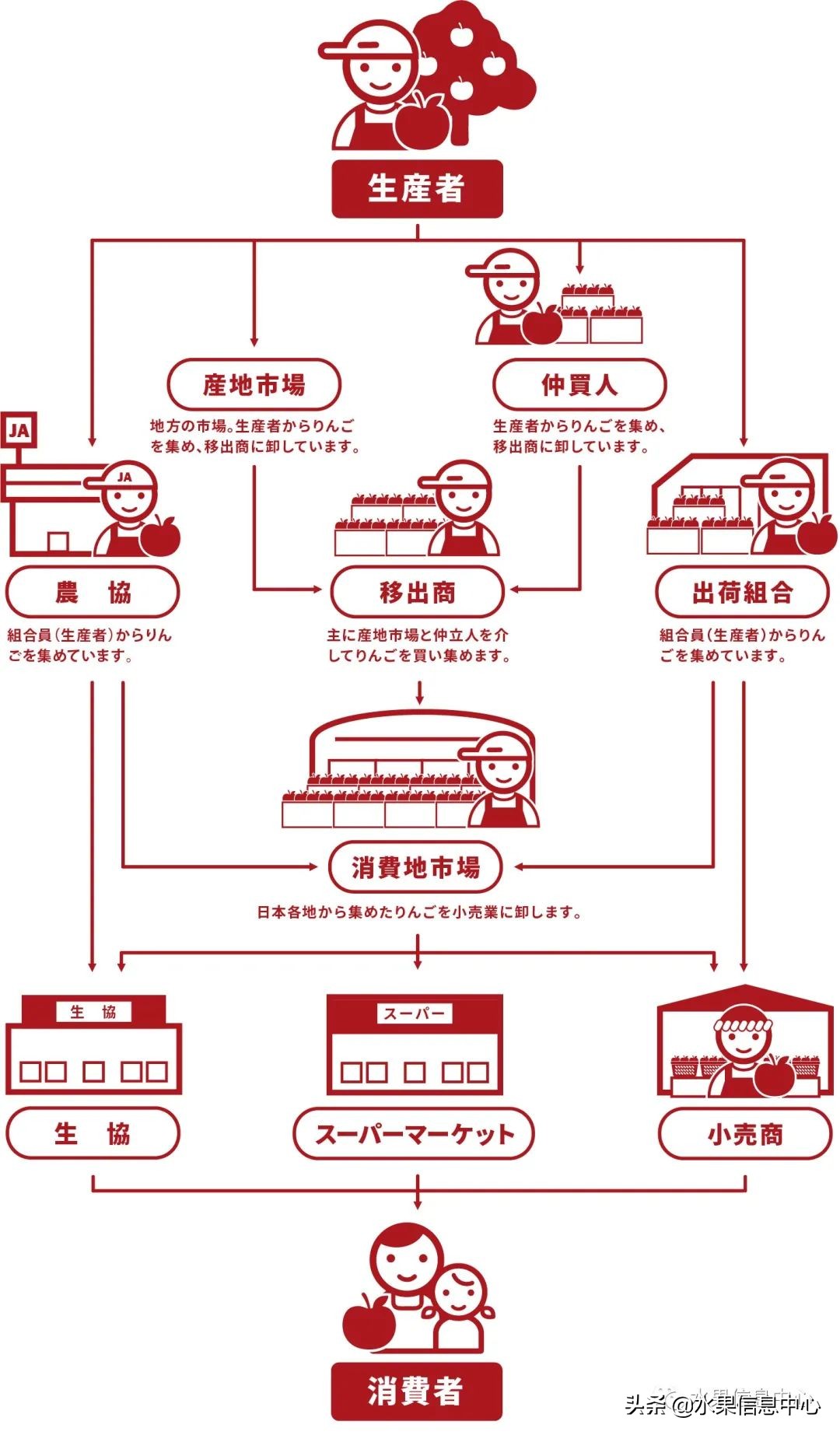 日本苹果为什么种的好？走进日本苹果第一大县“青森县”