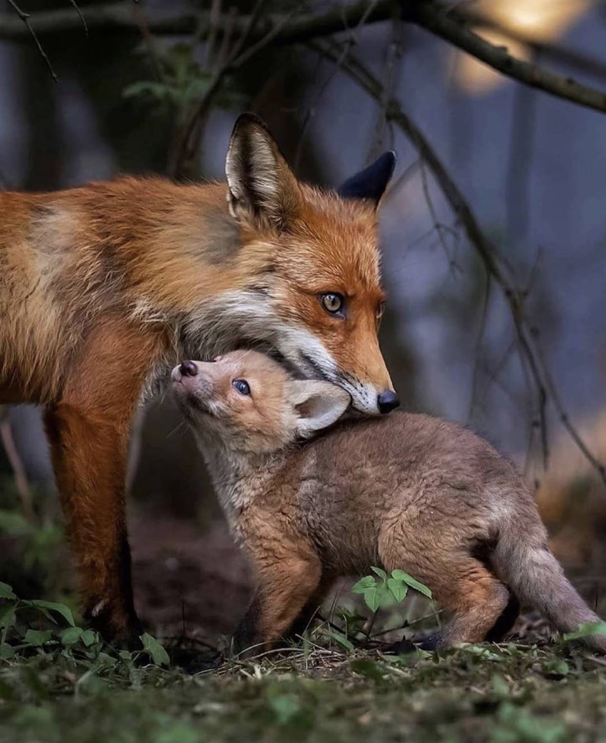 從這些照片裏，感受到了生命的溫度