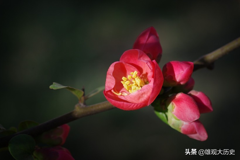 这九首描写春天景色的诗词，虽短却韵味无穷无尽，你读过几首-第1张图片-非凡网