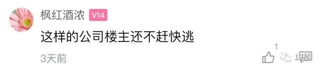 半夜抢了工作群里的红包，白领被约谈！网友：