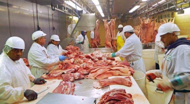 难以置信！中法两国签下1100亿订单，法国做出意