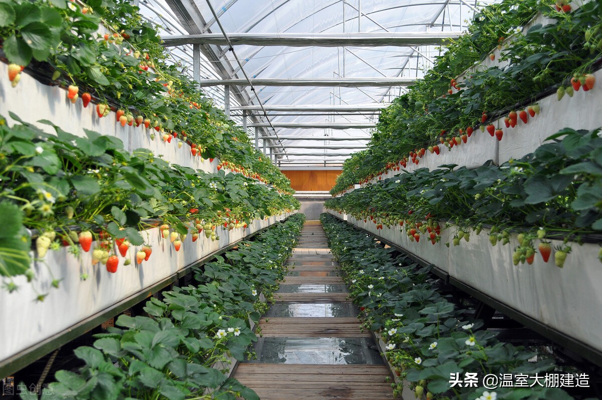 无土立体栽培的几种类型