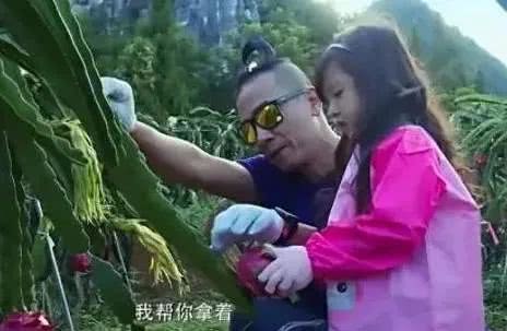 应采儿官宣生二胎，陈小春幸福洋溢透露性别，还是男孩？