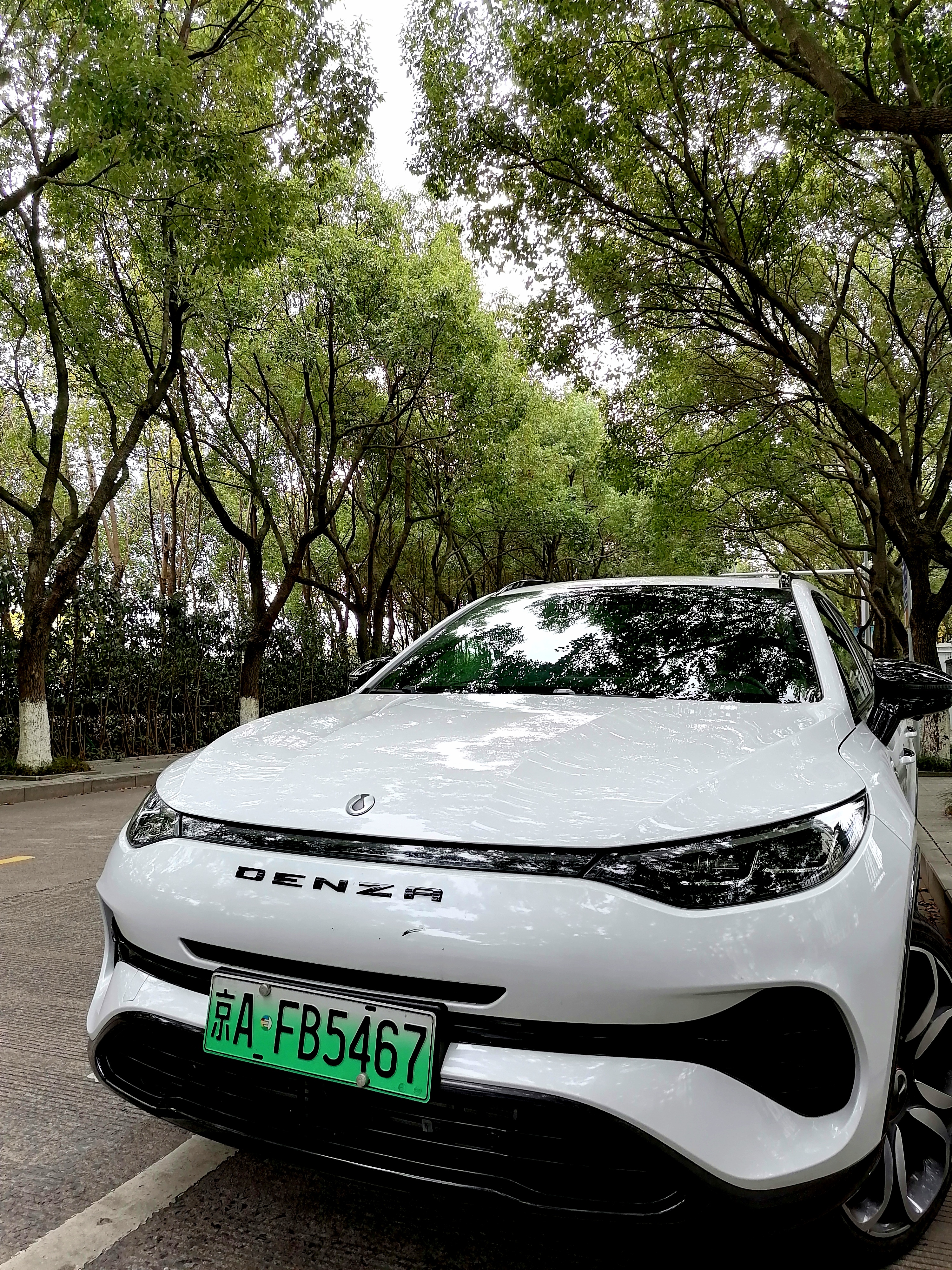 宁波精英的大玩具--利之星腾势试驾