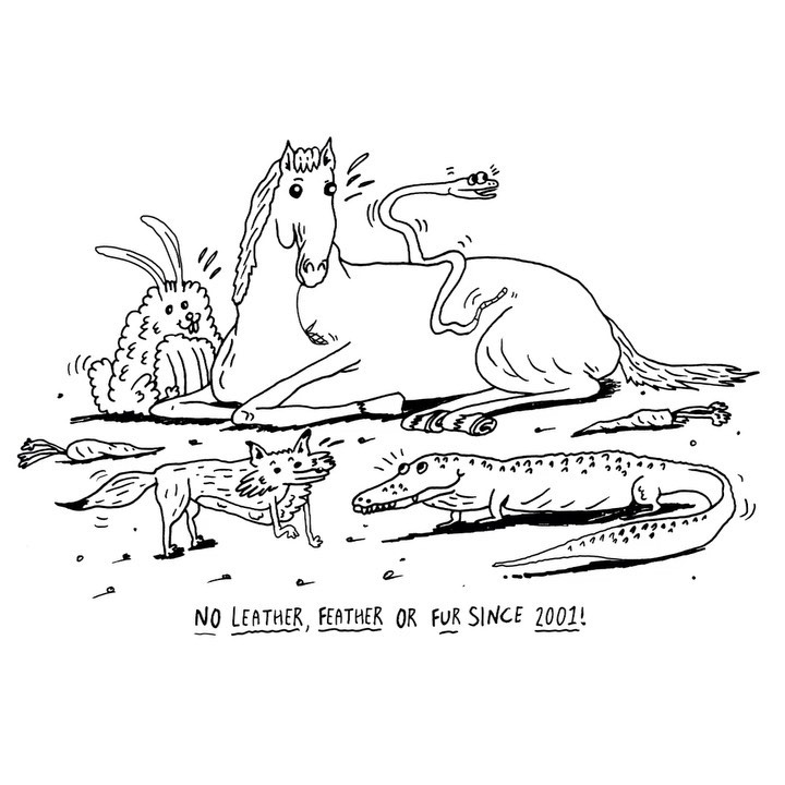 A major process in the fashion industry, will the UK become the first country in Europe to ban the sale of fur?