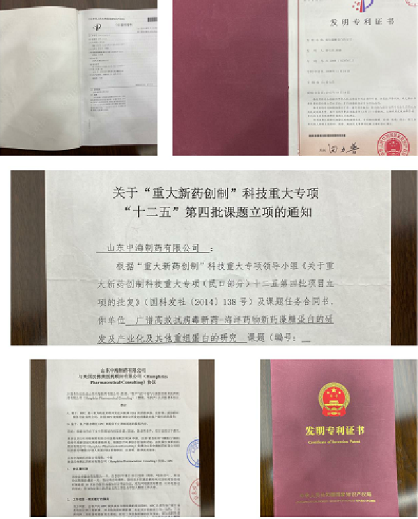 山东中海制药创始人徐宝贞：不畏困难，用激情点燃海药事业