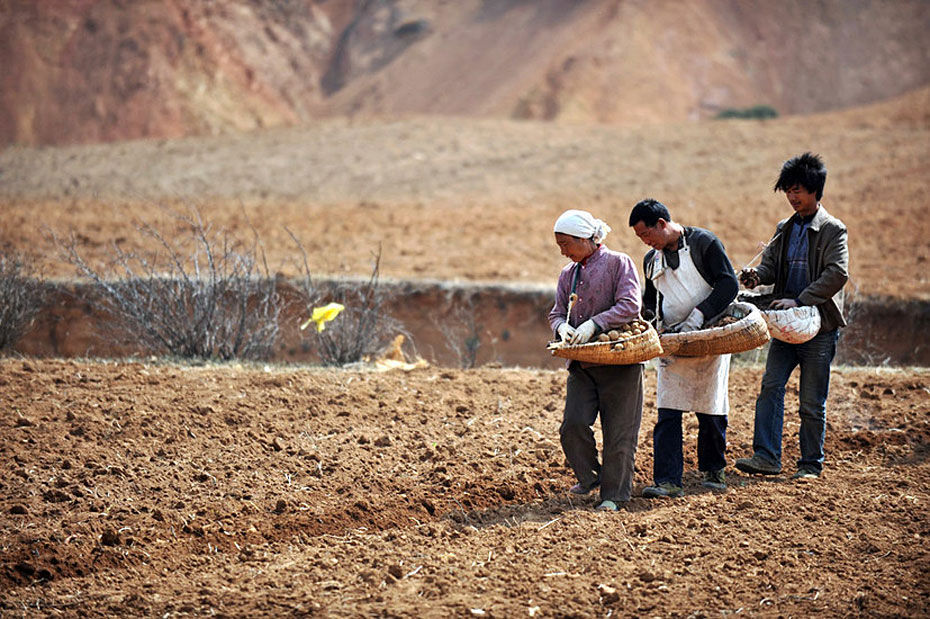 白手起家之真实创业实录（决定生死营销篇）2
