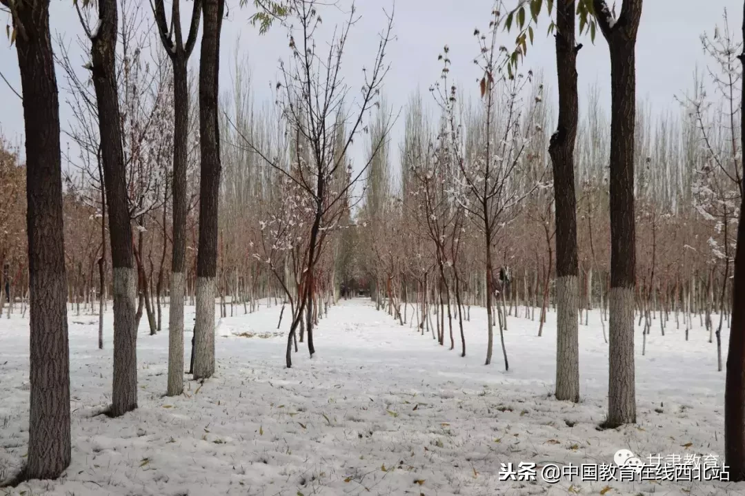 甘肃初雪|甘肃18所高校初学雪景大PK,快来看看有你的母校没?