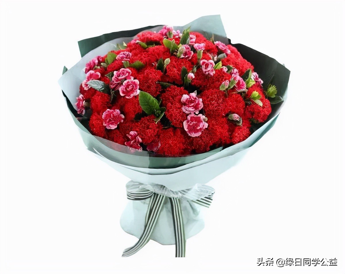 弘扬红色文化 传承白求恩精神——记红色文化小天使急救培训活动顺利举行