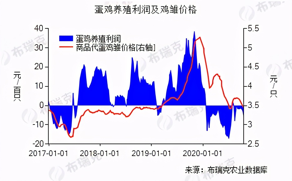 12月鸡蛋反弹明显 元旦前后存在回落可能