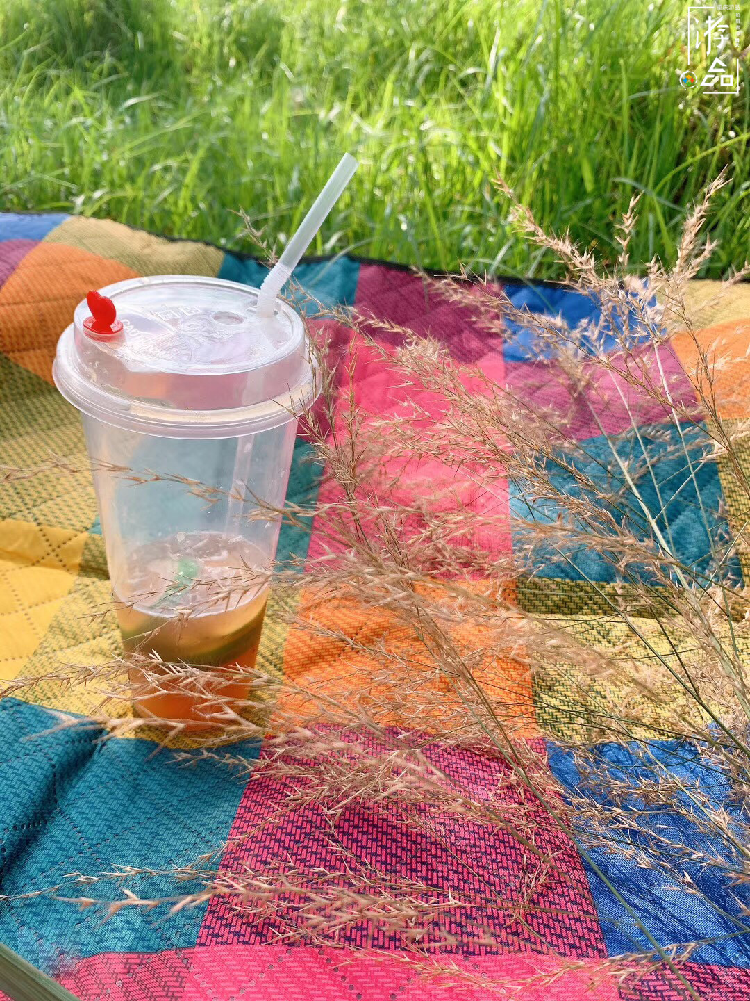 重庆人自己的外滩：九龙坡滨江路，从早到晚都能带给你惊喜