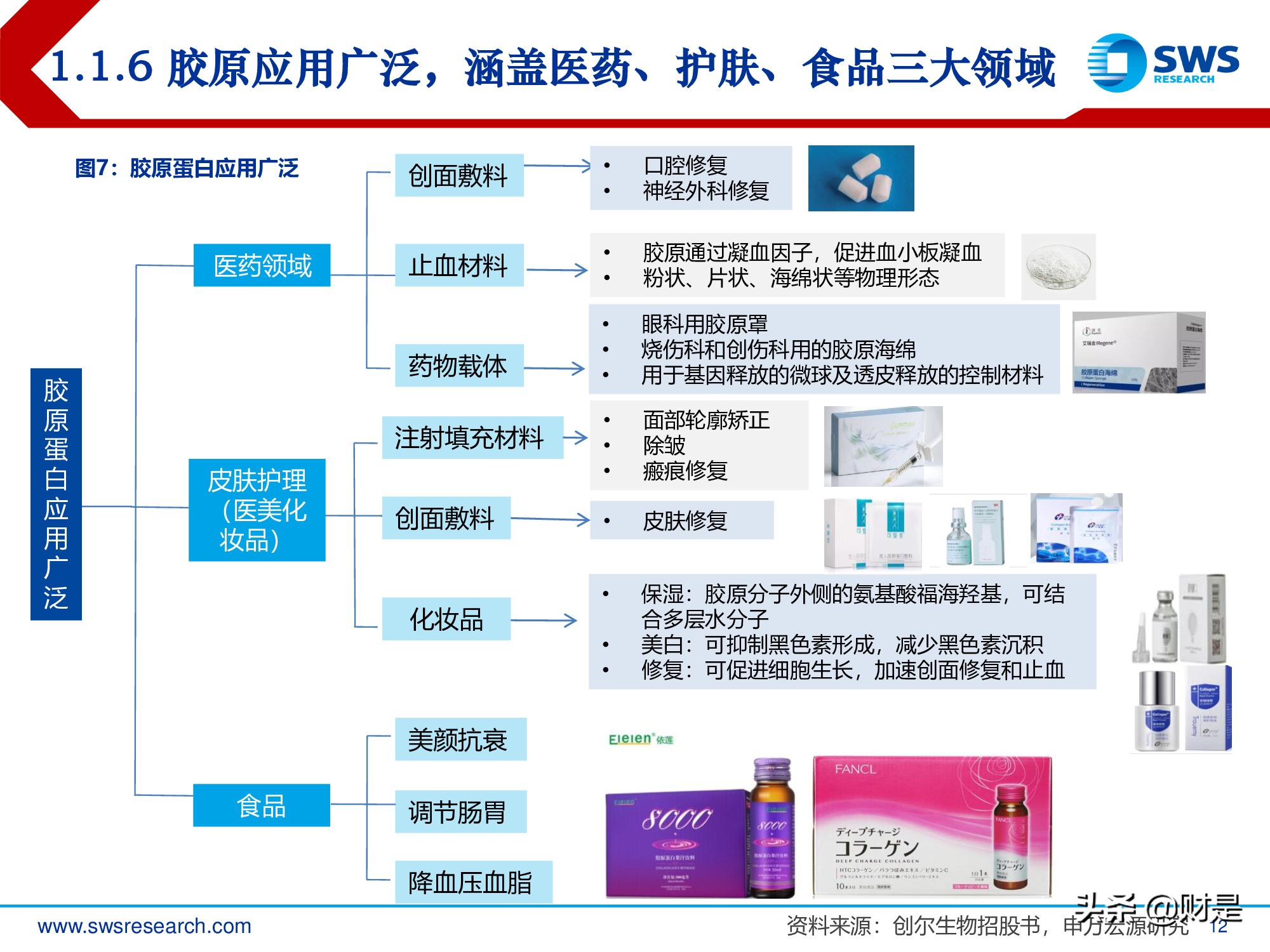 胶原蛋白行业深度报告：医美护肤日新月著，胶原蛋白蓄势待发