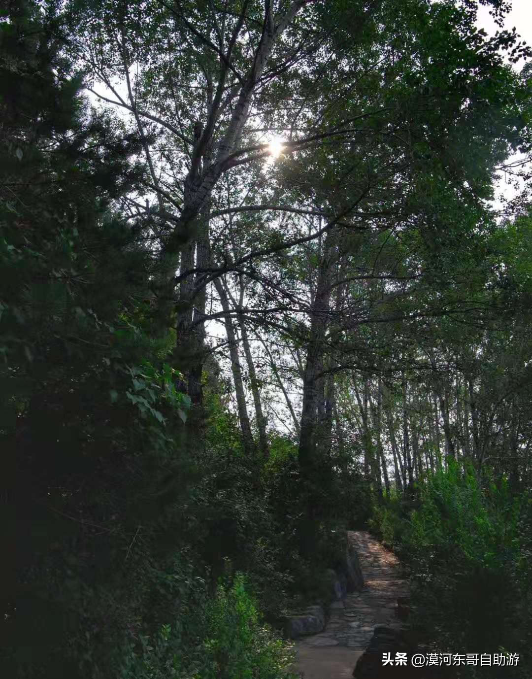 13/--Զ-ͬ--Į