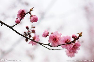 У������ӭ��� ͻ���������ɫ