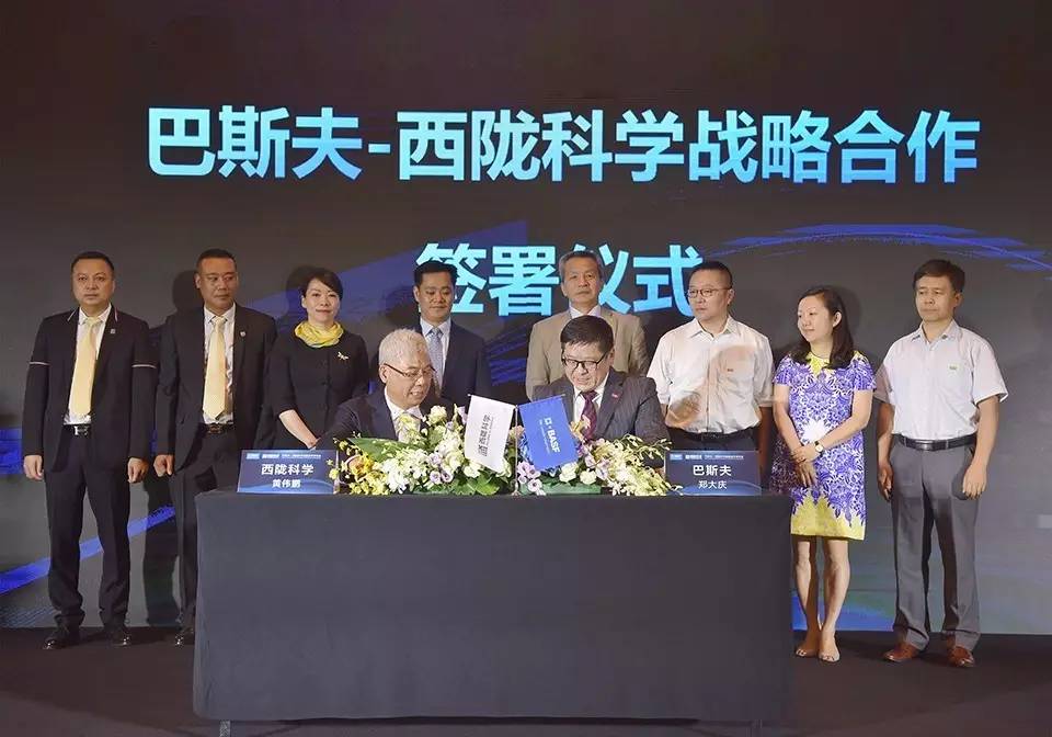 西陇科学未来可期