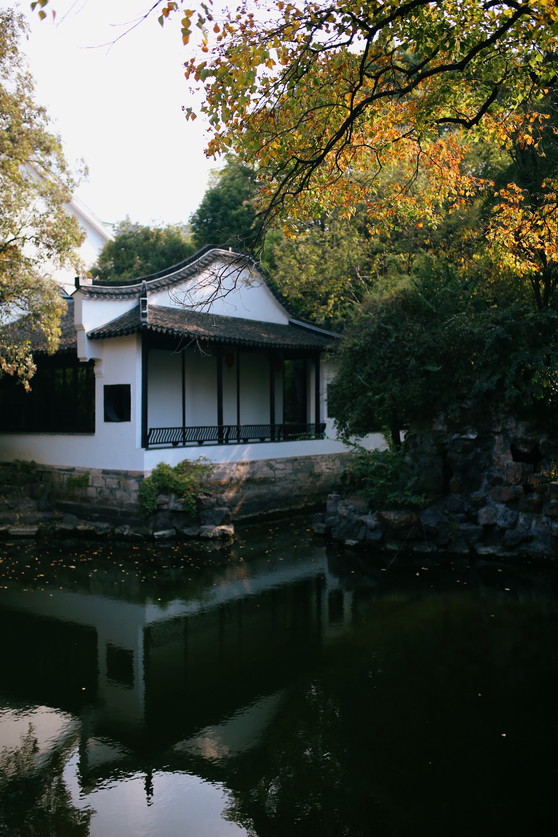 常州一廢棄賓館內藏著清代園林 構思奇巧 規模和蘇州耦園差不多 Zh中文網