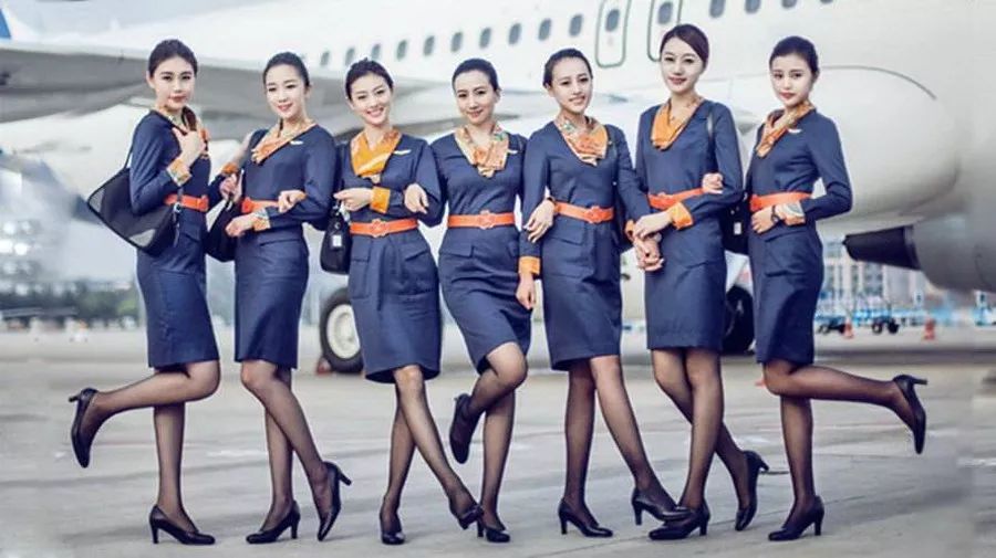 实质上"空乘"专业并不属于"艺术类",但由于"空乘专业"的招生需要面试