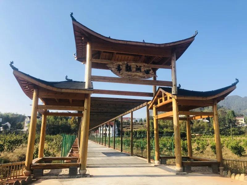 恭喜！浙江建德这10个村被省里点名表扬！有你的家乡吗？