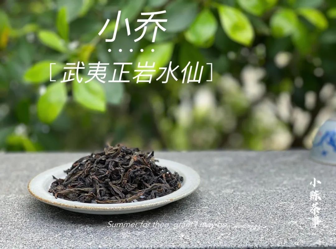 《铜雀台》，一本对比着喝懂水仙、喝懂新茶与陈茶的“工具书”