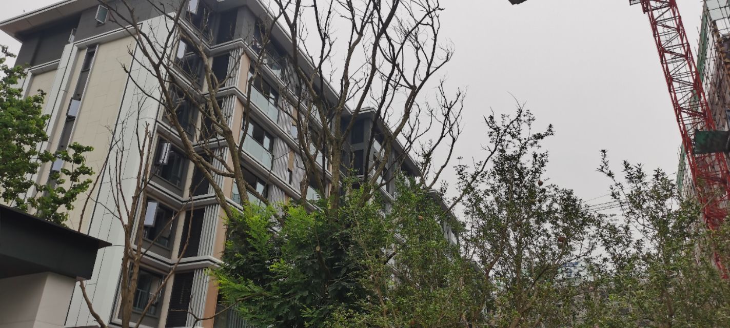 重庆会成为一个世界级中心城市？我看有可能