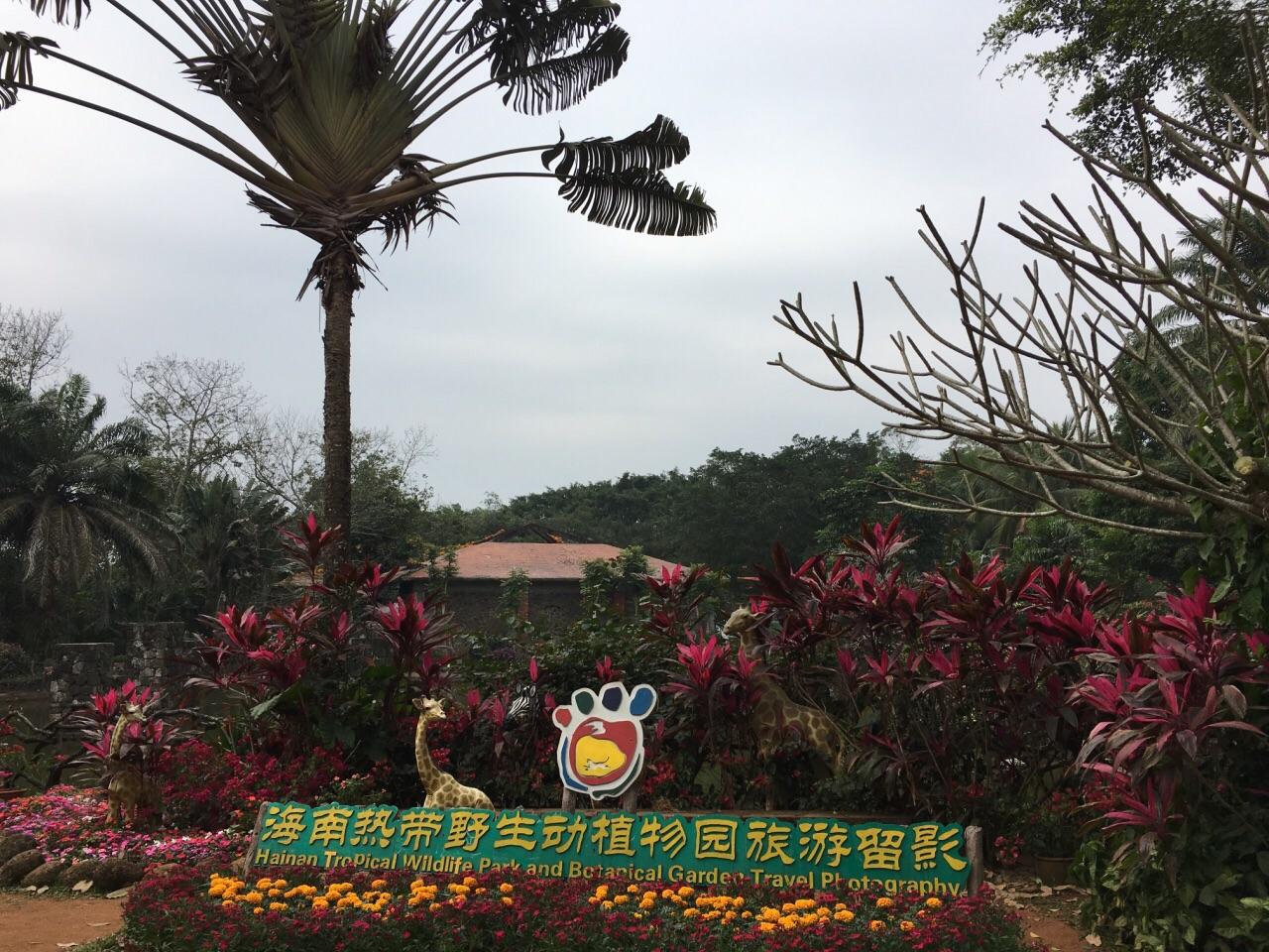 海南的十大经典旅游景点，你去过几个？