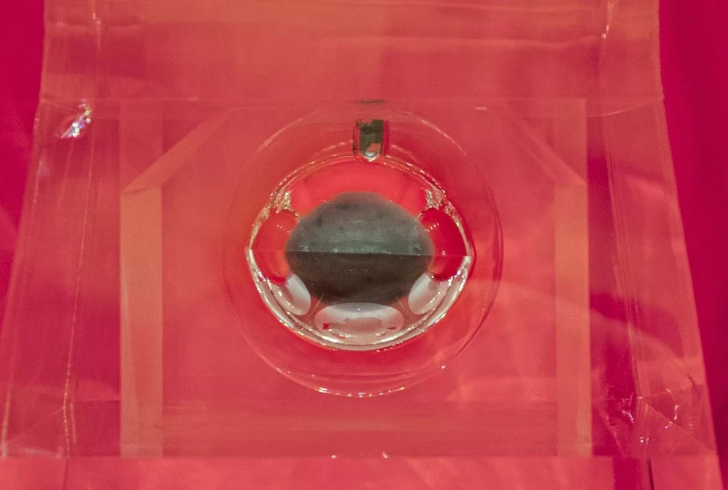 �����������ж����������������վ�ͷ������ź�