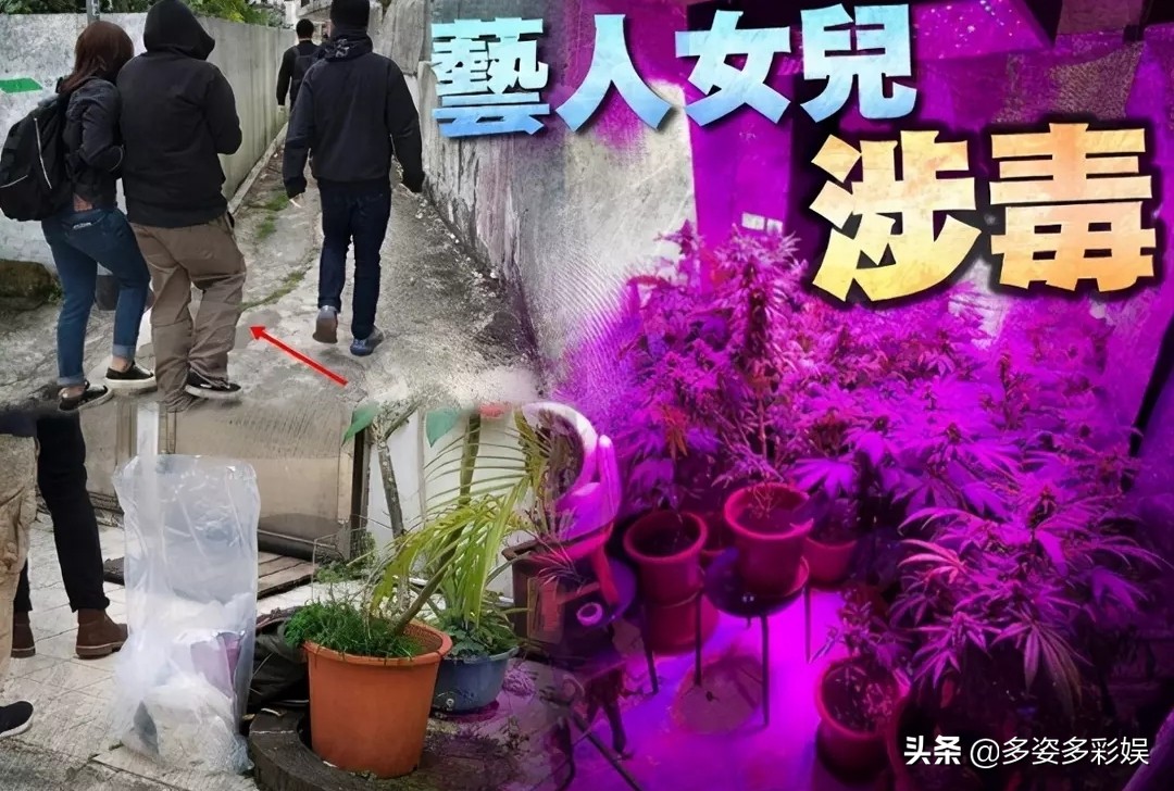 家产超35亿的老戏骨出事了，女儿家里藏有百万大麻，已被抓捕