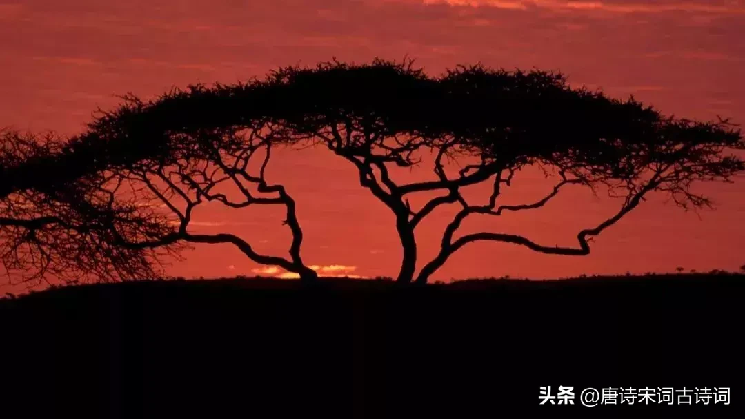 无比深情的十首爱情诗,每每读来都被其中凝含的深情所感动-第2张图片-非凡网 无比深情的十首爱情诗,每每读来都被其中凝含的深情所感动-第2张图片-非凡网